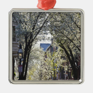 USA, Massachusetts, Boston, Beacon Hill. Metal Tree Decoration
