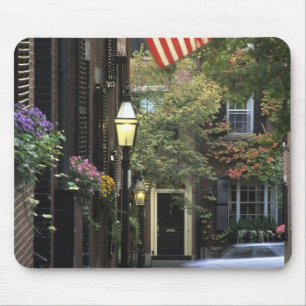 USA, Massachusetts, Boston, Beacon Hill. Mouse Mat