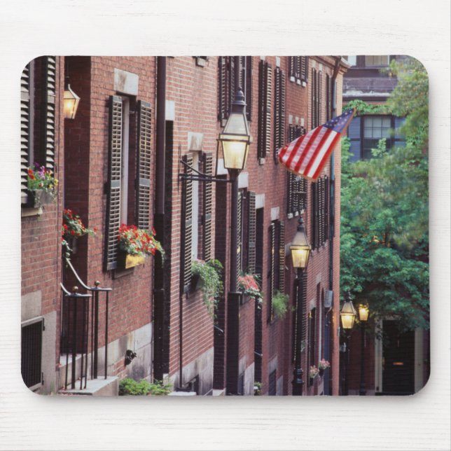 USA, Massachusetts, Boston, Houses Along Acorn Mouse Mat (Front)