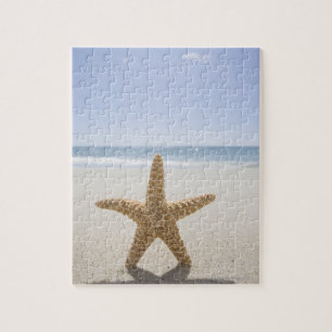 USA, Massachusetts, Cape Cod, Nantucket, close Jigsaw Puzzle