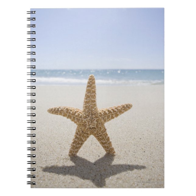 USA, Massachusetts, Cape Cod, Nantucket, close Notebook (Front)