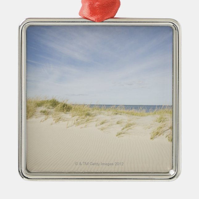 USA, Massachusetts, Cape Cod, Nantucket, sandy Metal Tree Decoration (Front)