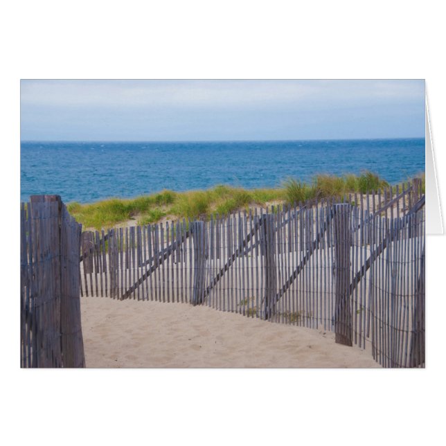USA, Massachusetts. Dunes And Path (Front Horizontal)