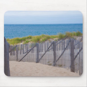USA, Massachusetts. Dunes And Path Mouse Mat