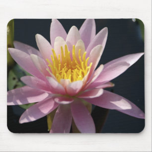 USA, Massachusetts, Great Barrington, lily pad Mouse Mat