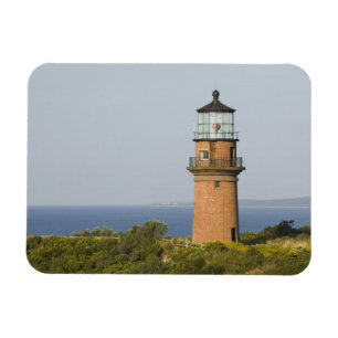 USA, MASSACHUSETTS, Martha's Vineyard: Aquinnah Magnet