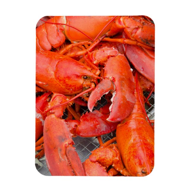 USA, Massachusetts, Martha's Vineyard Magnet (Vertical)