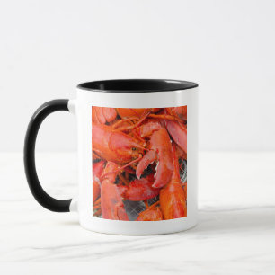 USA, Massachusetts, Martha's Vineyard Mug