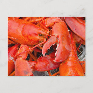 USA, Massachusetts, Martha's Vineyard Postcard