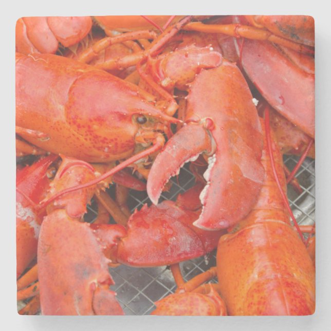 USA, Massachusetts, Martha's Vineyard Stone Coaster (Front)