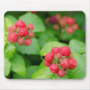 USA, Massachusetts, Nantucket. Ripe Raspberries Mouse Mat