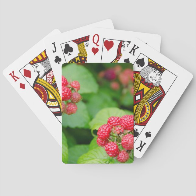 USA, Massachusetts, Nantucket. Ripe Raspberries Playing Cards (Back)