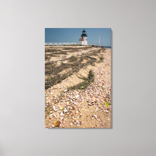 USA, Massachusetts, Nantucket. Shell Canvas Print