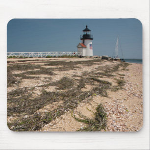 USA, Massachusetts, Nantucket. Shell Mouse Mat