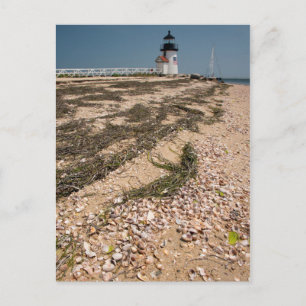 USA, Massachusetts, Nantucket. Shell Postcard