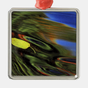 USA, Michigan, Birch leaf in river with autumn Metal Tree Decoration