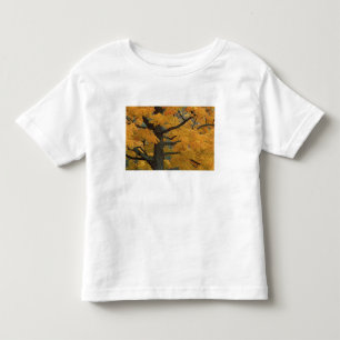 USA, Michigan, Close-up of sugar maple tree in Toddler T-Shirt