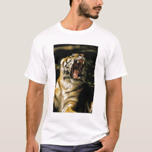 USA, Michigan, Detroit. Detroit Zoo, tiger 2 T-Shirt
