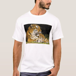 USA, Michigan, Detroit. Detroit Zoo, tiger at T-Shirt