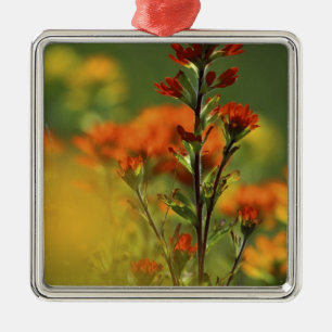 USA, Michigan, Drummond Island, Maxton Plains, Metal Tree Decoration