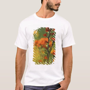 USA, Michigan, Drummond Island, Maxton Plains, T-Shirt