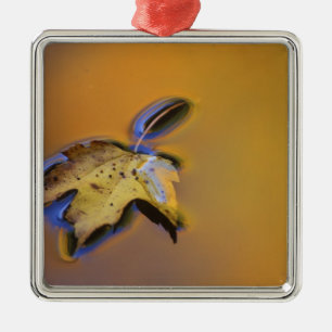 USA, Michigan, Maple leaf floating on water Metal Tree Decoration