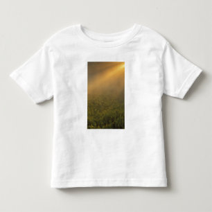 USA, Michigan, Meadow of goldenrod plants Toddler T-Shirt