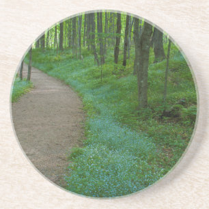 USA, Michigan. Miner's Falls Trail Coaster