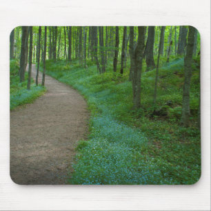 USA, Michigan. Miner's Falls Trail Mouse Mat
