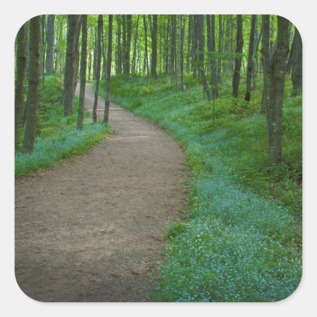 USA, Michigan. Miner's Falls Trail Square Sticker (Front)