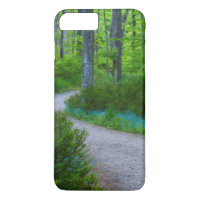 USA, Michigan. Path Thru The Woods