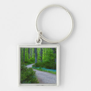 USA, Michigan. Path Thru The Woods Key Ring