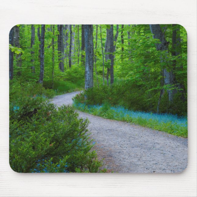 USA, Michigan. Path Thru The Woods Mouse Mat (Front)
