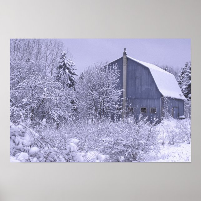 USA, Michigan, Rochester Hills. Snowy blue Poster (Front)