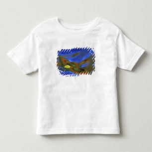 USA, Michigan, Upper Peninsula, birch leaf in Toddler T-Shirt