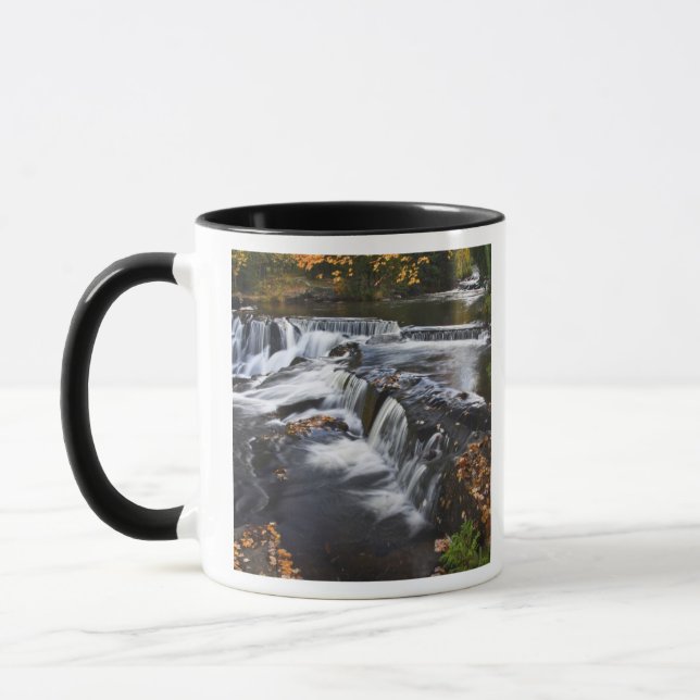 USA, Michigan, Upper Peninsula. Bond Falls and Mug (Left)