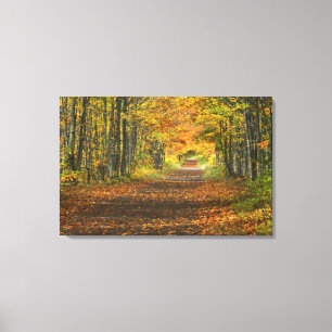 USA, Michigan, Upper Peninsula. Roadway into Canvas Print