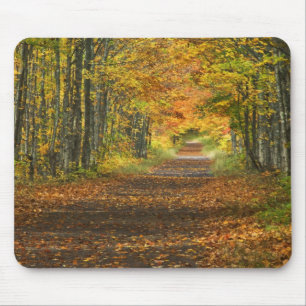 USA, Michigan, Upper Peninsula. Roadway into Mouse Mat