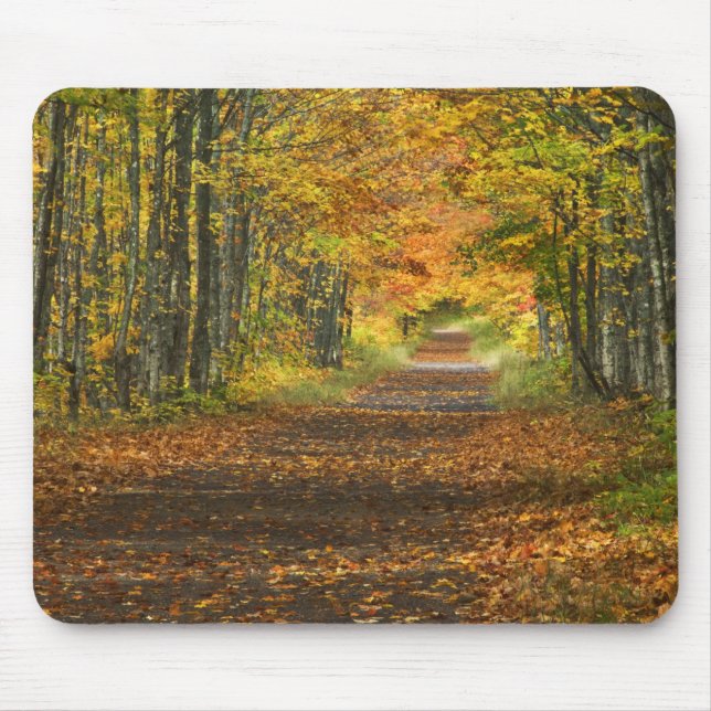 USA, Michigan, Upper Peninsula. Roadway into Mouse Mat (Front)