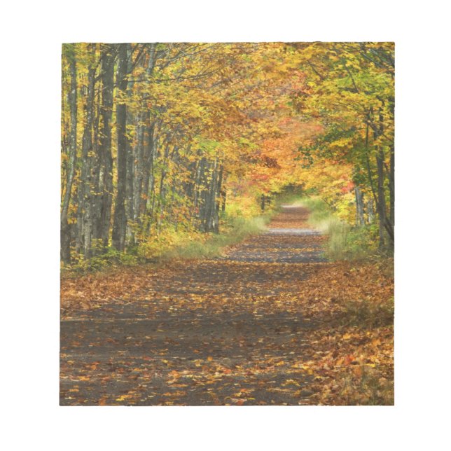 USA, Michigan, Upper Peninsula. Roadway into Notepad (Front)