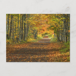 USA, Michigan, Upper Peninsula. Roadway into Postcard