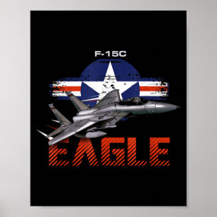 Usa Military Warbird F15 Eagle Military Airplane Poster