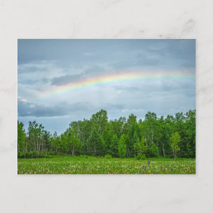 USA, Minnesota. Green meadow with wildflowers Postcard