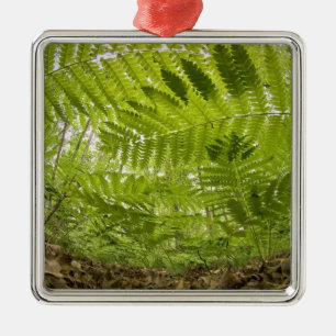 USA, MInnesota, North Shore Lake Superior, Metal Tree Decoration