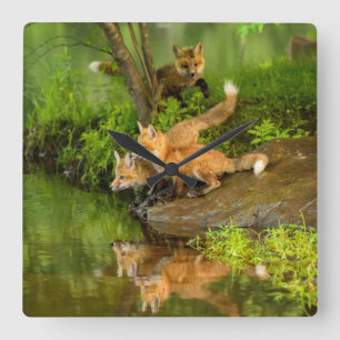USA, Minnesota, Sandstone, Minnesota Wildlife 7 Square Wall Clock