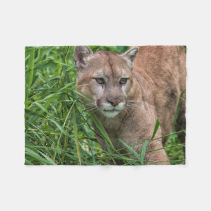USA, Minnesota, Sandstone, Minnesota Wildlife Fleece Blanket