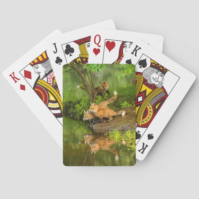 USA, Minnesota, Sandstone, Minnesota Wildlife Playing Cards (Back)