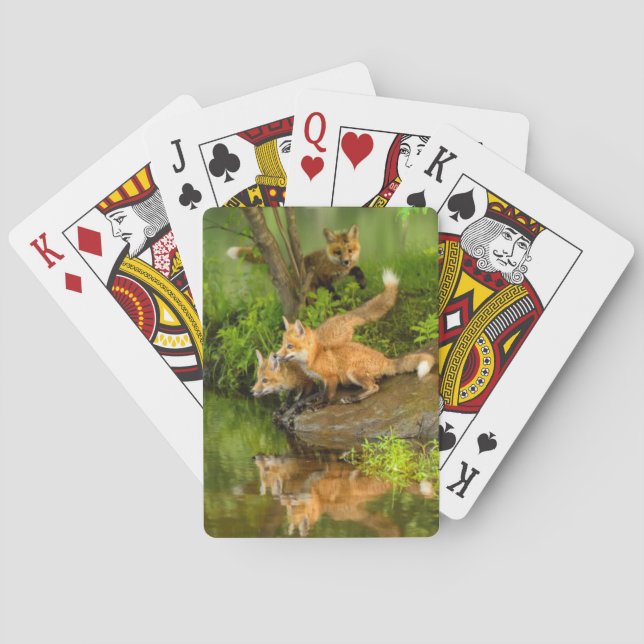 USA, Minnesota, Sandstone, Minnesota Wildlife Playing Cards (Back)