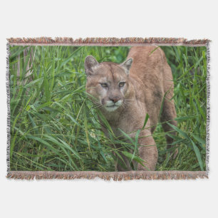 USA, Minnesota, Sandstone, Minnesota Wildlife Throw Blanket