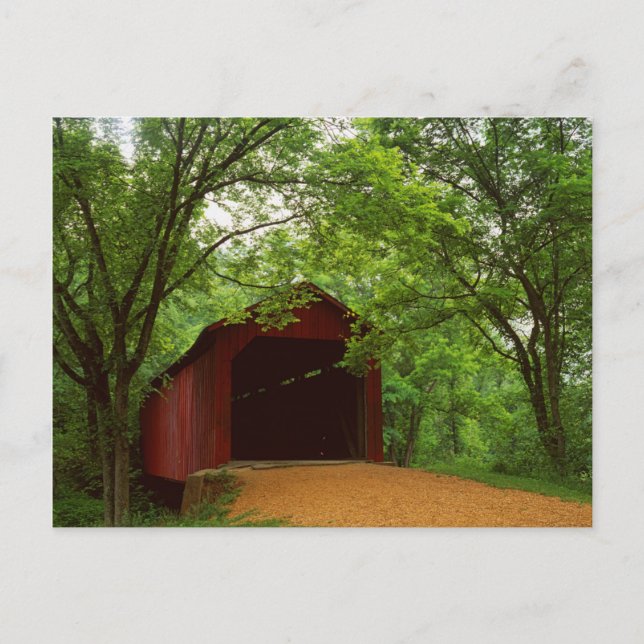 USA, Missouri, Jefferson County, Sandy Creek Postcard (Front)